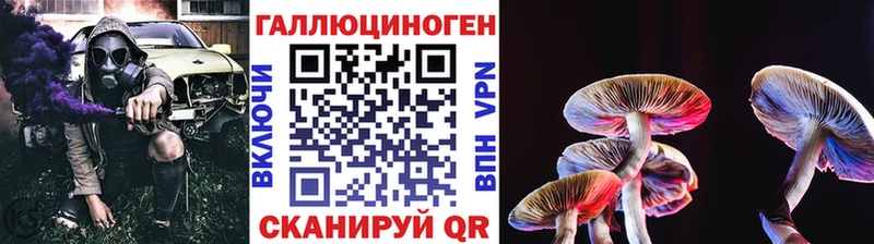 Купить где  Сарапул  Псилоцибиновые грибы мицелий 