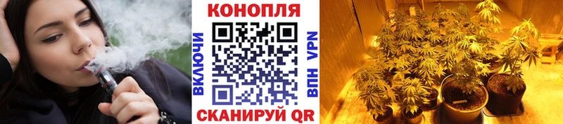 Купить  Сарапул  Конопля VHQ 